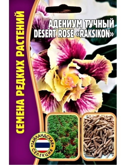 Адениум Тучный DESERT ROSE  RAKSIKON  3 шт РЕДКИЕ СЕМЕНА