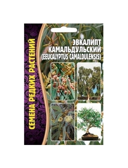 Эвкалипт Камадульский 0,05 г РЕДКИЕ СЕМЕНА