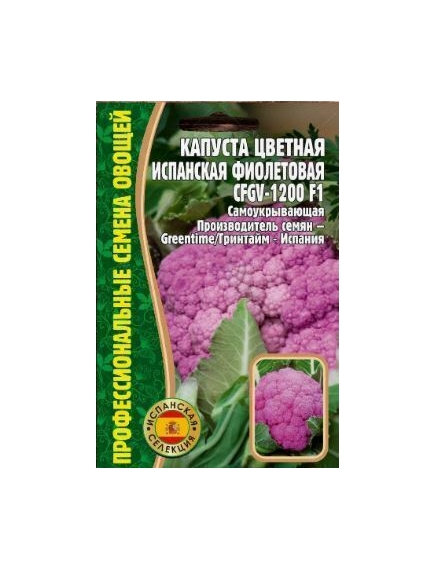 Капуста цветная Испанская фиолетовая CFGV-1200 10 шт РЕДКИЕ СЕМЕНА