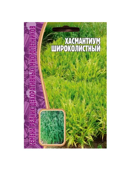 Хасмантиум Широколистный 25 шт РЕДКИЕ СЕМЕНА