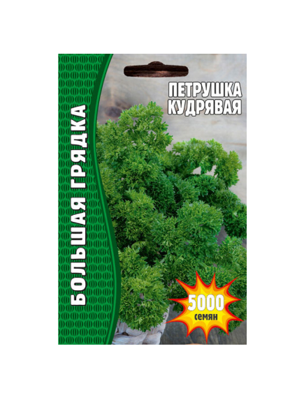 Петрушка Кудрявая 5000 шт РЕДКИЕ СЕМЕНА