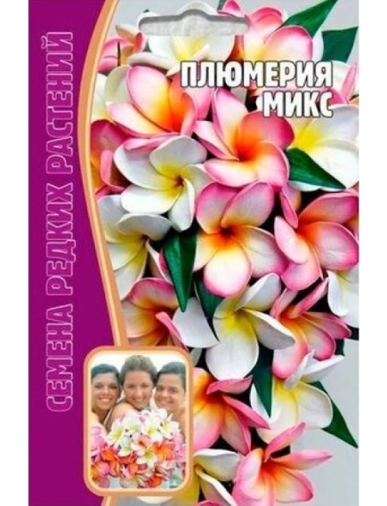 Плюмерия Микс 3 шт РЕДКИЕ СЕМЕНА