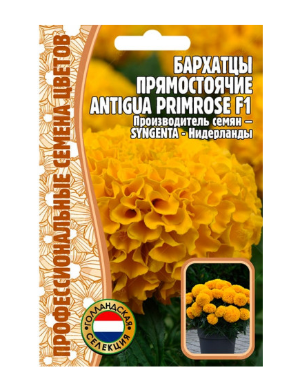 Бархатцы прямостоячие ANTIGUA PRIMROSE F1 5 шт РЕДКИЕ СЕМЕНА