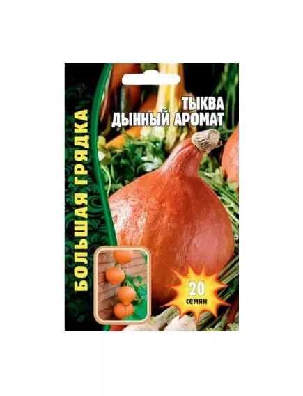 Тыква Дынный аромат 20 шт РЕДКИЕ СЕМЕНА