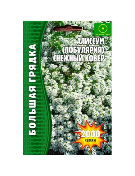 Алиссум Лобулярия Снежный Ковер 1000 шт РЕДКИЕ СЕМЕНА