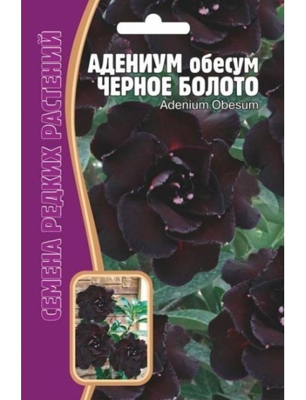 Адениум Черное Болото 3 шт РЕДКИЕ СЕМЕН