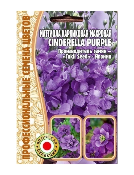 Маттиола CINDERELLA PURPLE карликовая махровая 5 шт РЕДКИЕ СЕМЕНА