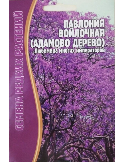 Павлония войлочная Адамово дерево 10 шт РЕДКИЕ СЕМЕНА