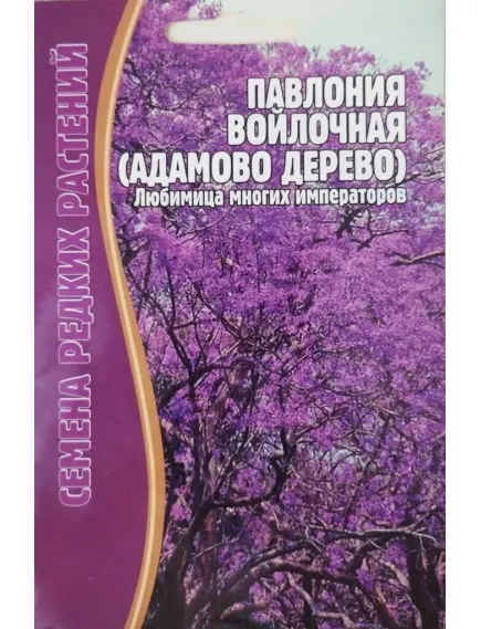 Павлония войлочная Адамово дерево 10 шт РЕДКИЕ СЕМЕНА