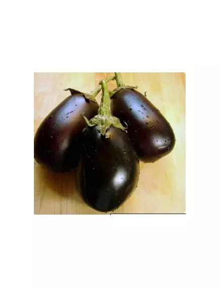 Баклажан салатный Мизунотакуми F1  5 шт Сады Азии