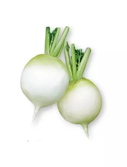 Дайкон Юки Но Тама F1 0,5 г Сады Азии