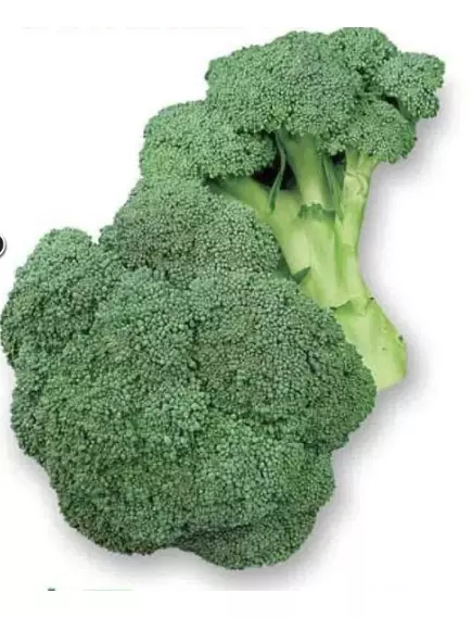 Брокколи Маратон F1 10 шт Сады Азии