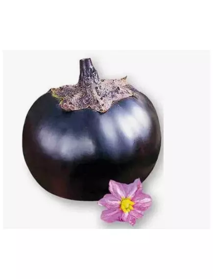 Баклажан И-Стар F1 5 шт Сады Азии