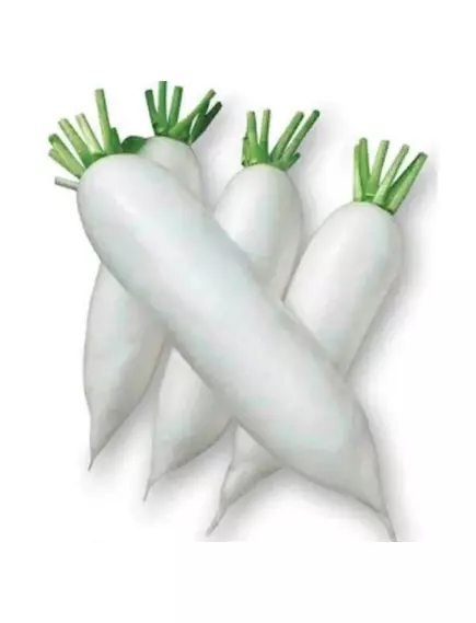 Дайкон Спринг Вайт F1 10 шт Сады Азии