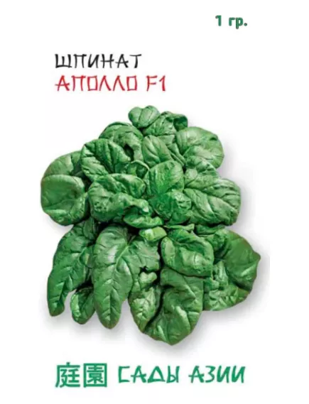 Шпинат Аполло F1 1 г Сады Азии