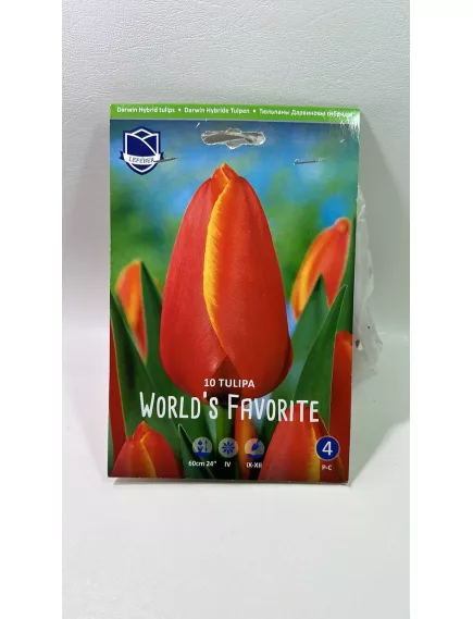 Тюльпан гибрид Дарвинов WORLDS FAVORITE 10 шт