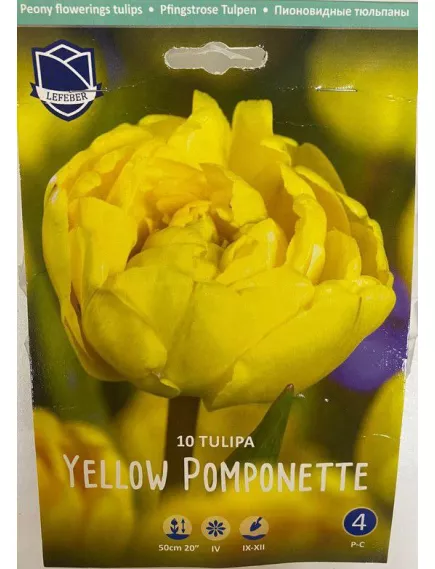 Тюльпан махровый поздний YELLOW POMPONETTE 10 шт