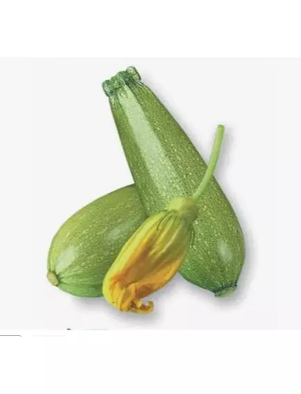 Кабачок Софт Тейст F1 10 шт Сады Азии