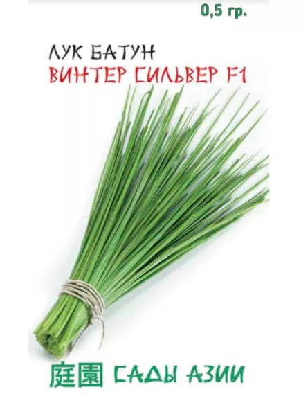 Лук батун Винтер Сильвер F1 0,5 г Сады Азии