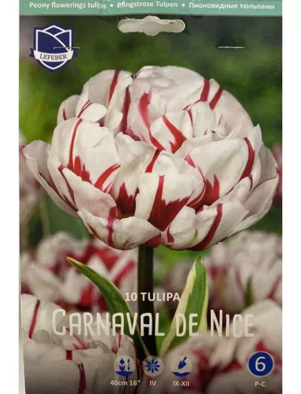 Тюльпан махровый поздний  CARNAVAL DE NICE Карнавал де Найс 10 шт