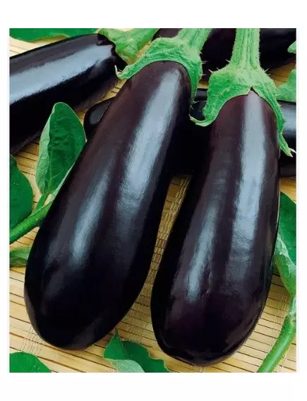 Баклажан Рома  F1 10 шт Сады Азия