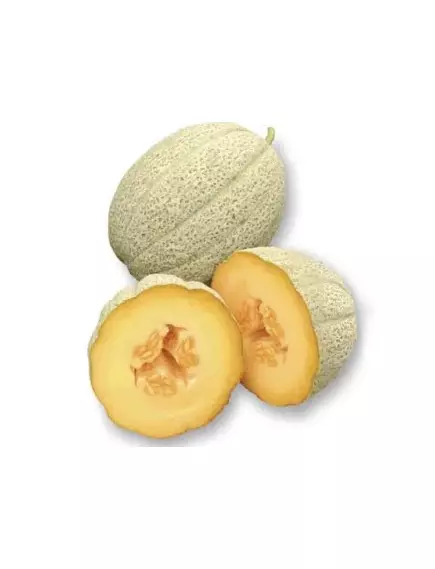 Дыня Гордес F1 5 шт Сады Азии