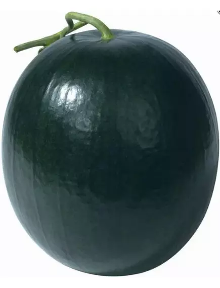 Арбуз Блэк Хироу F1 5 шт Сады Азии