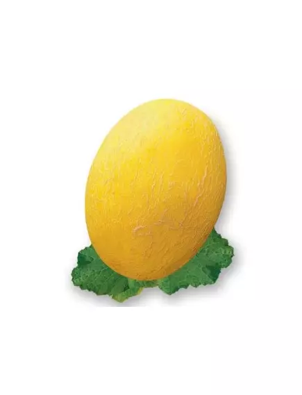 Дыня Анамакс F1 5 шт Сады Азии