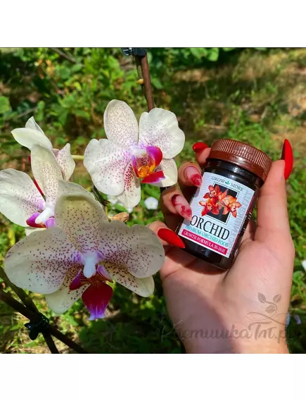 GROW MORE PREMIUM ORCHID 30-10-10 ПОДКОРМКА ДЛЯ ОРХИДЕЙ 25 Г GROW MORE PREMIUM ORCHID 30-10-10 подкормка для орхидей 25 г