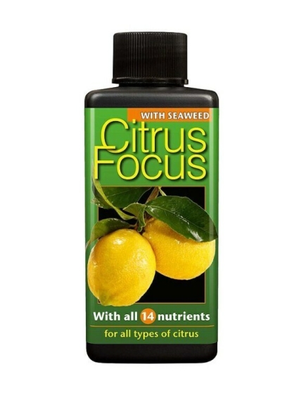 GT CITRUS FOCUS для цитрусовых