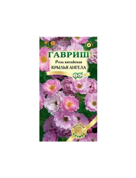 Роза китайская Крылья Ангела 5 шт ГАВРИШ