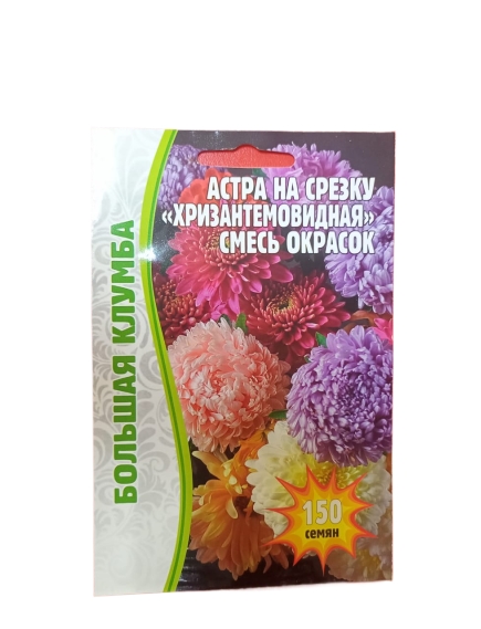 Астра Хризантемовидная смесь на срезку 150 шт РЕДКИЕ СЕМЕНА