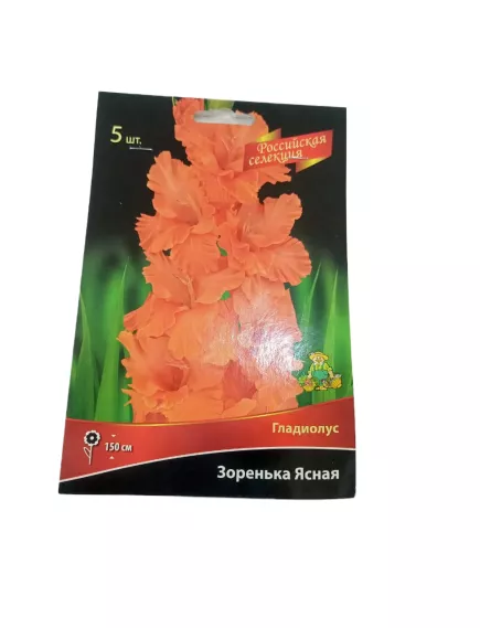 Гладиолус гофрированный Зоренька Ясная 5 шт ПОИСК