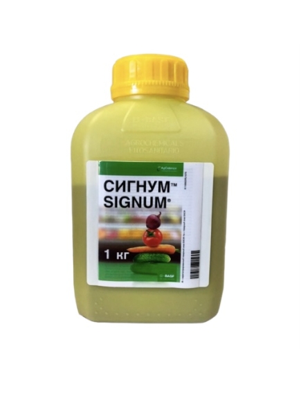 Сигнум BASF фунгицид 50 г (Фасовка)