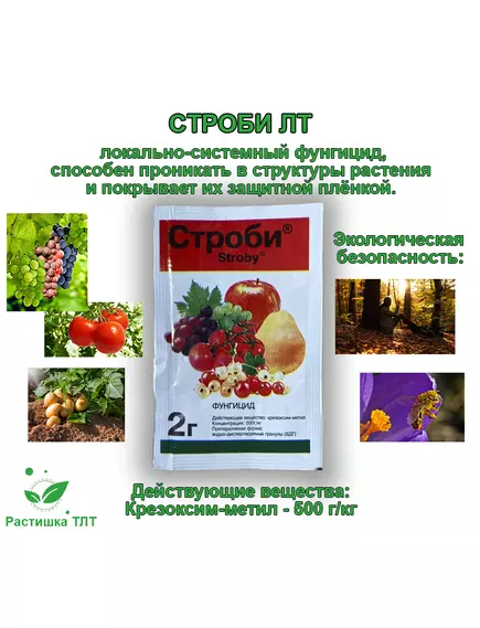 ЛТ Строби 2 г