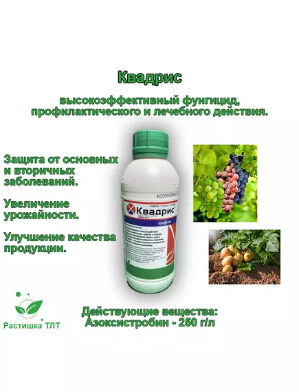 Квадрис Фунгицид 50 мл (Фасовка)