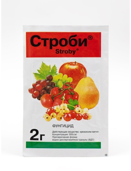 ЛТ Строби 2 г