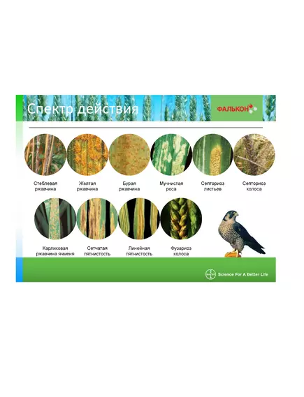 Фалькон трёхкомпонентный системный фунгицид