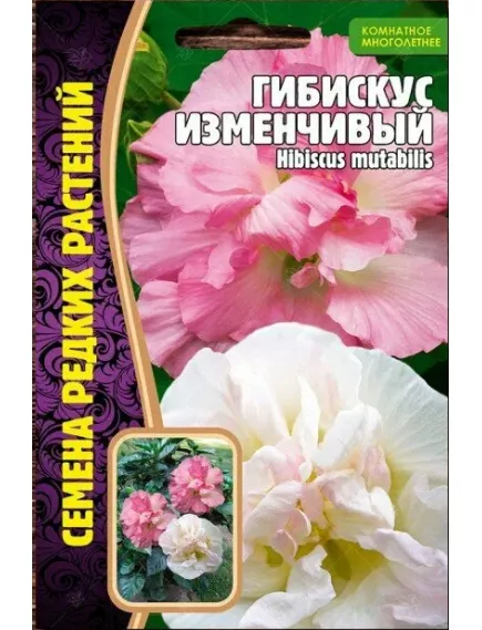Гибискус Изменчивый 10 шт РЕДКИЕ СЕМЕНА
