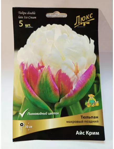 Тюльпан махровый поздний ICE СREAM Айс Крем 5 шт