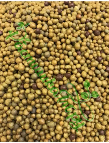 OSMOCOTE15-9-12+ 2MGO+TE  (Осмокот Экзакт Стандарт) 5-6 мес 1 кг (Фасовка)