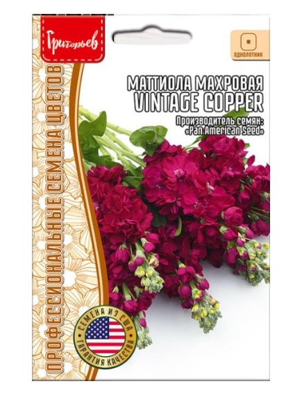 Маттиола махровая VINTAGE COPPER 5 шт РЕДКИЕ СЕМЕНА