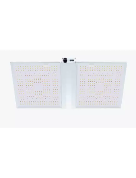 Лампа NANOLUX Нанолюкс LED RG300