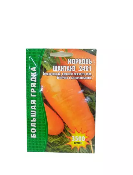 Морковь Шантане 2461 5000 шт РЕДКИЕ СЕМЕНА