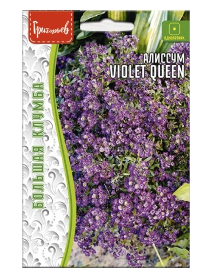 Алиссум VIOLET QUEEN 0,1 г РЕДКИЕ СЕМЕНА