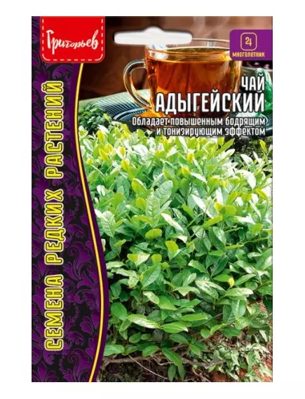 Чай Адыгейский 3 шт РЕДКИЕ СЕМЕНА