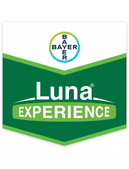 Луна Экспириенс 1 л