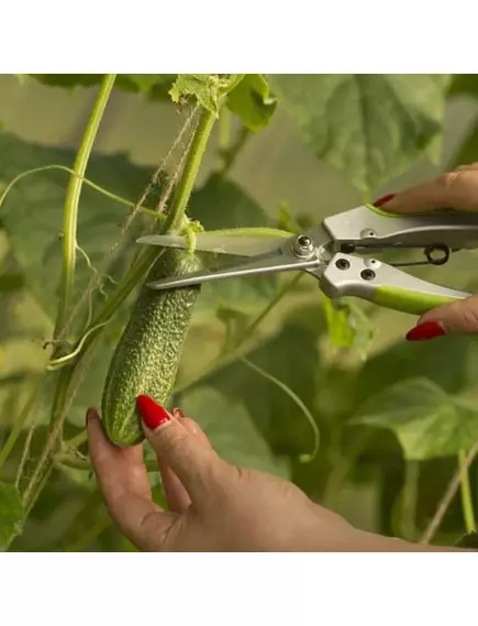 ЦИ 1144 Ножницы для цветов удлиненные