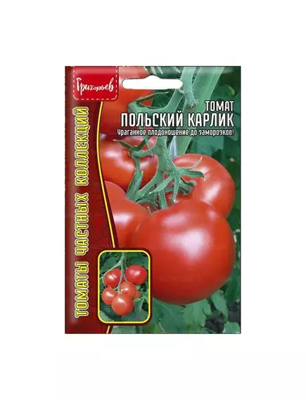 Томат Польский карлик 10 шт РЕДКИЕ СЕМЕНА
