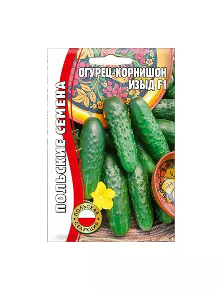 Огурец Изыд (корнишон) 10 шт РЕДКИЕ СЕМЕНА